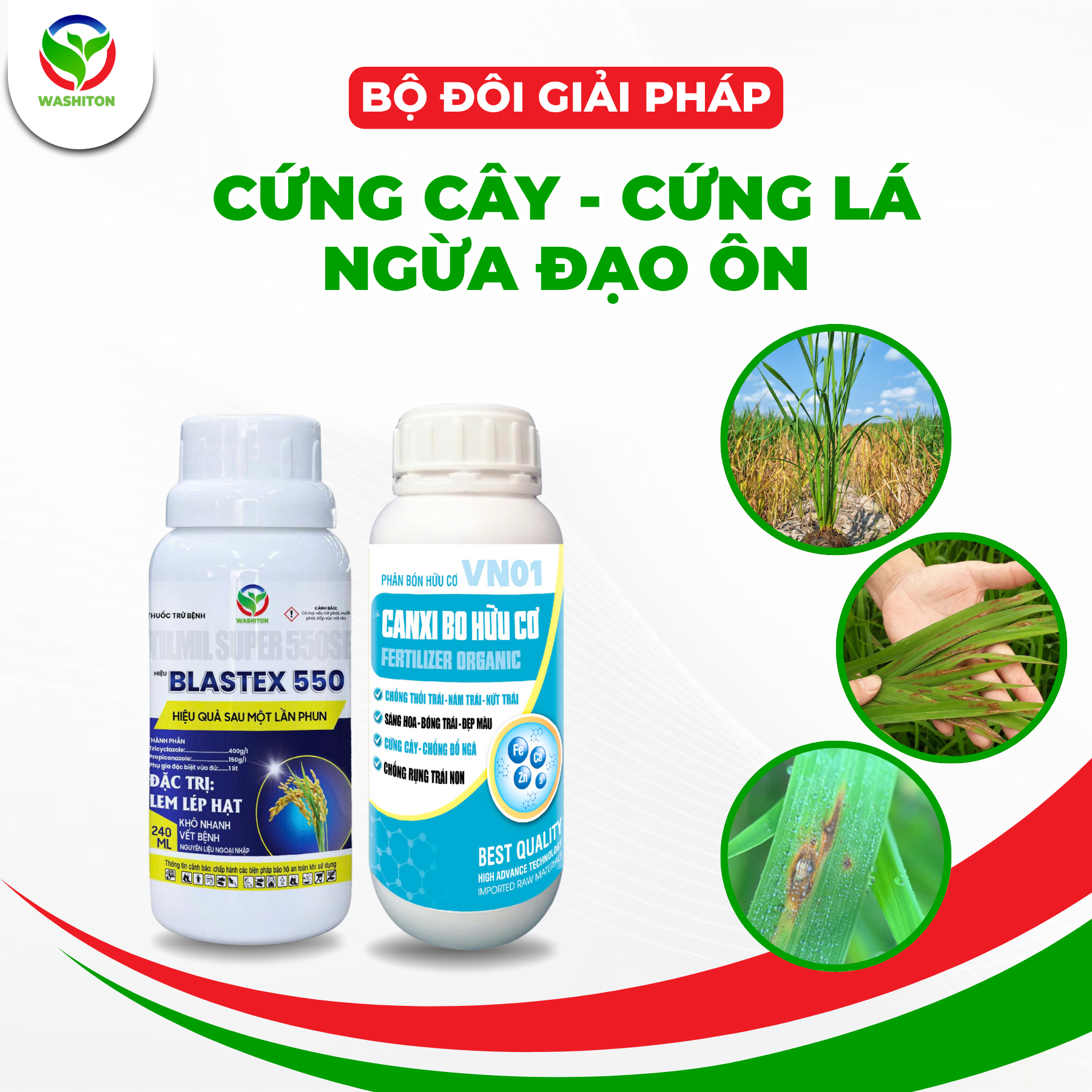 BỘ ĐÔI GIẢI PHÁP - CỨNG CÂY, CỨNG LÁ, NGỪA ĐẠO ÔN