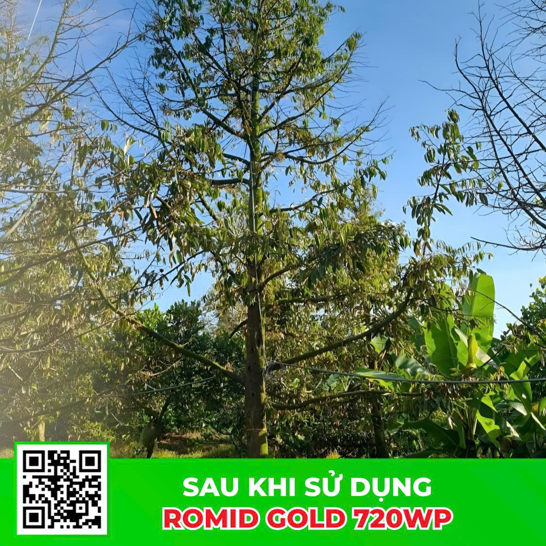 Sau khi sử dụng sản phẩn