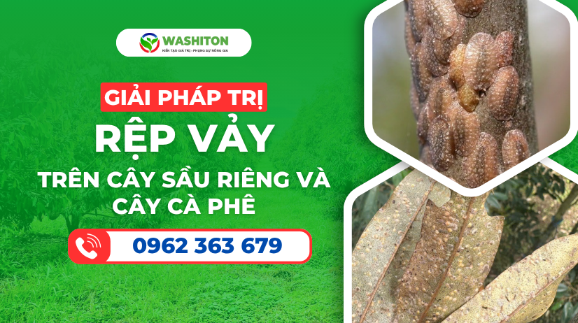 Rệp Vảy – Kẻ Thù Hai Mặt Của Nông Nghiệp Việt Nam