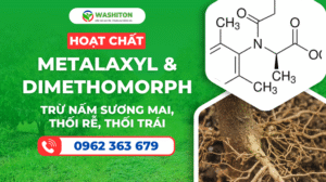 Hoạt Chất Metalaxyl & Dimethomorph