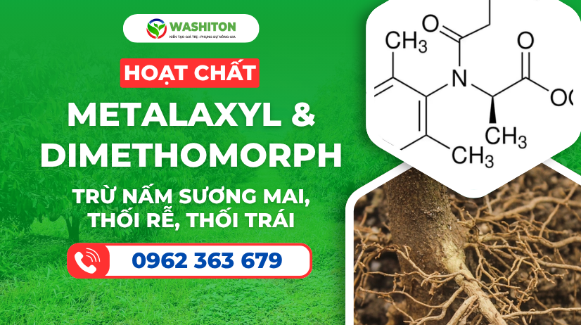 Hoạt Chất Metalaxyl & Dimethomorph