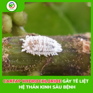 Cơ chế hoạt chất CARTAP HYDROCHLORIDE