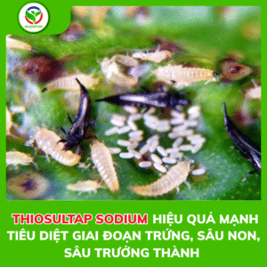 Cơ chế hoạt chất THIOSULTAP SODIUM