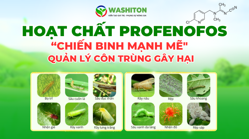 HOẠT CHẤT PROFENOFOS (2)