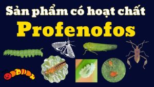 Hoạt chất Profenofos - Hiệu quả nhanh