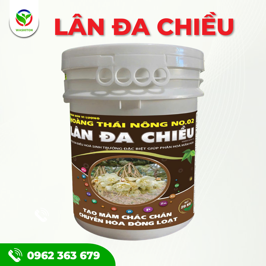 LÂN ĐA CHIỀU