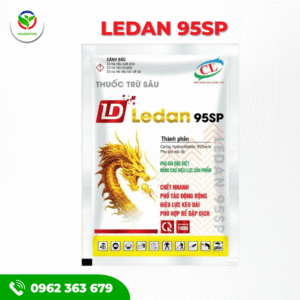 LEDAN 95SP