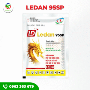 LEDAN 95SP