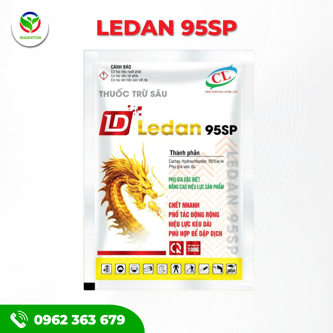 LEDAN 95SP