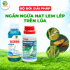 BỘ GIẢI PHÁP NGĂN NGỪA HẠT LEM LÉP TRÊN LÚA