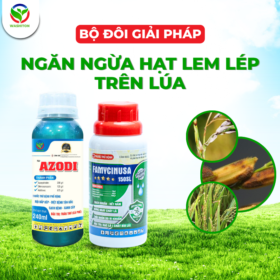 BỘ GIẢI PHÁP NGĂN NGỪA HẠT LEM LÉP TRÊN LÚA