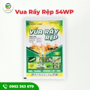 VUA RẦY RỆP 54WP