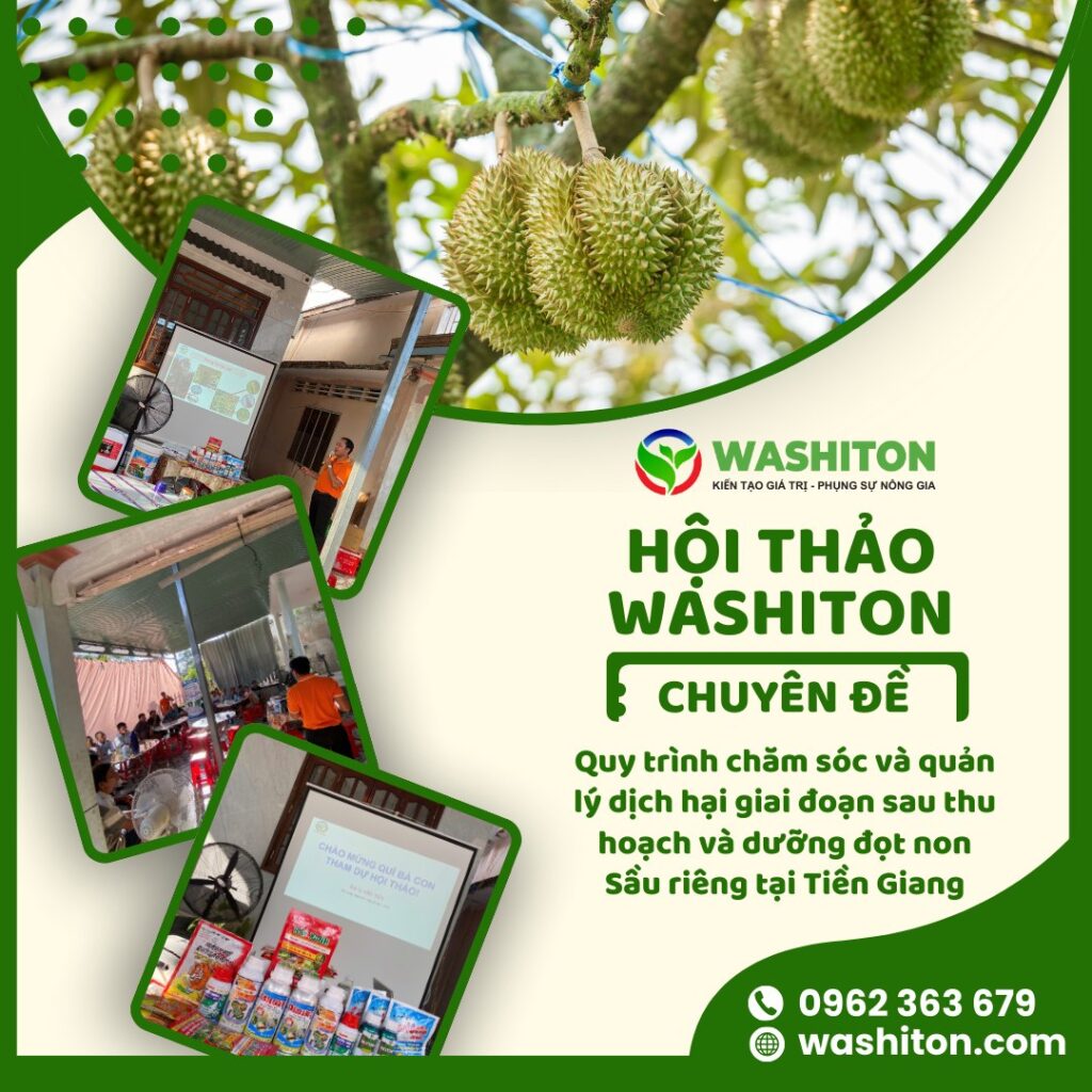 Hội thảo đại lý Văn Tấn - Tiền Giang