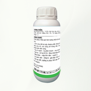 ĐẠM CHỒI - ĐẺ NHANH