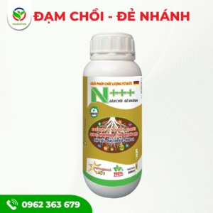 ĐẠM CHỒI - ĐẺ NHANH