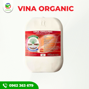 VINA ORGANIC - Phục hồi bộ rễ - Phục hồi vườn sầu riêng sau thu hoạch