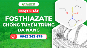 Fosthiazate – Giải Pháp Hiệu Quả Kiểm Soát Tuyến Trùng