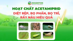 HOẠT CHẤT ACETAMIPRID – “VŨ KHÍ NEONICOTINOID” DIỆT RỆP, BỌ PHẤN, BỌ TRĨ, RẦY NÂU HIỆU QUẢ