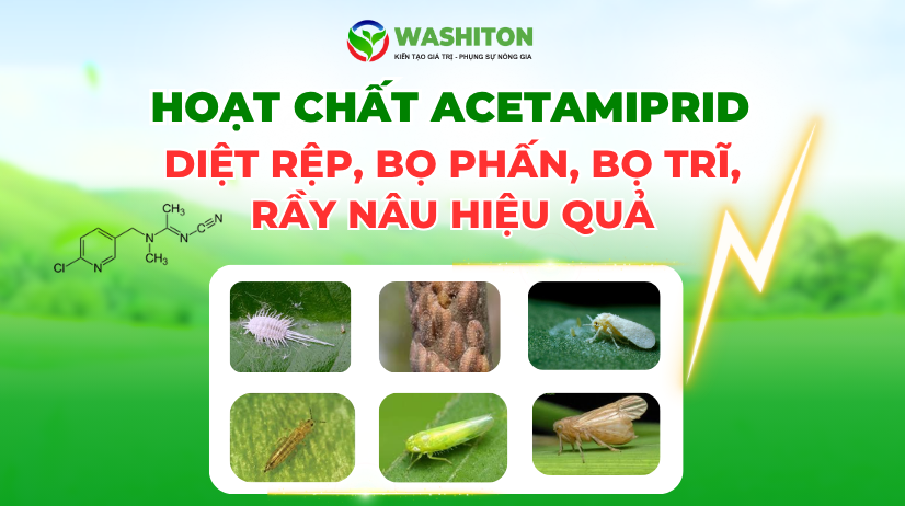 HOẠT CHẤT ACETAMIPRID – “VŨ KHÍ NEONICOTINOID” DIỆT RỆP, BỌ PHẤN, BỌ TRĨ, RẦY NÂU HIỆU QUẢ