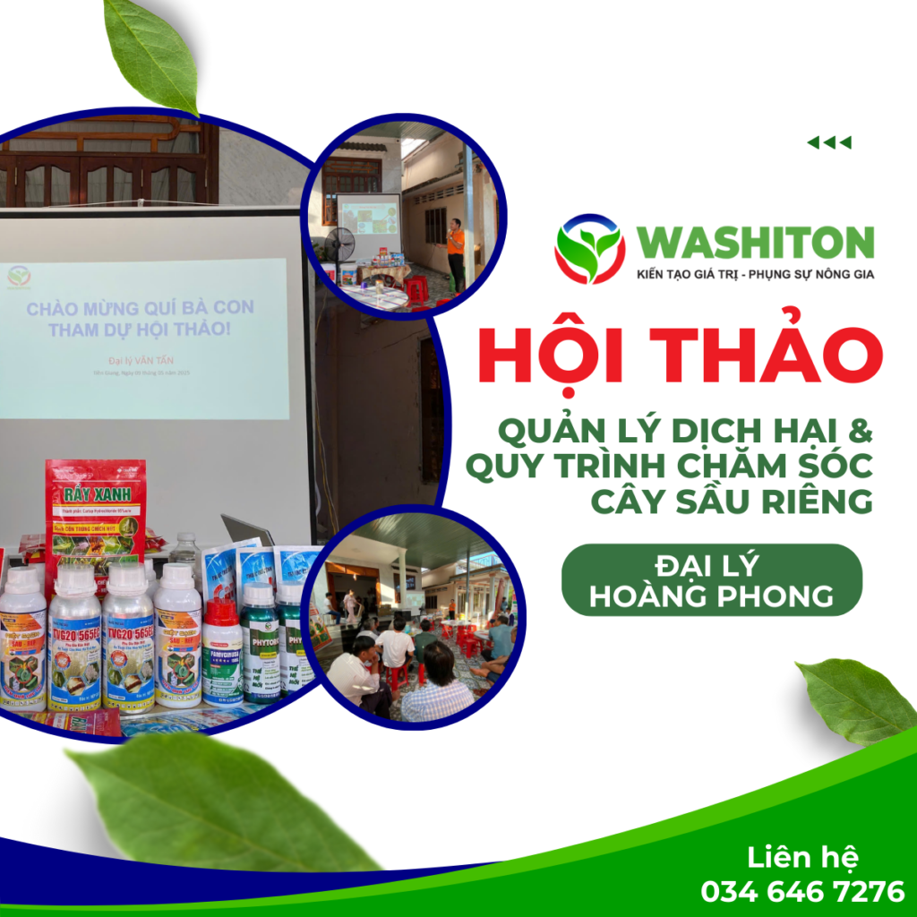 Hội thảo Đại Lý Hoàng Phong