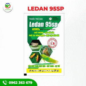 LEDAN 95SP