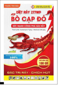 BÒ CẠP ĐỎ