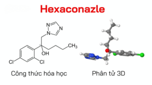 Công thức Hoạt chất hexaconazole