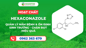 HOẠT CHẤT HEXACONAZOLE - QUẢN LÝ NẤM BỆNH & ỔN ĐỊNH SINH TRƯỞNG - CHẶN ĐỌT HIỆU QUẢ