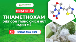 Hoạt chất Thiamethoxam: Công dụng, cơ chế và các sản phẩm hiệu quả đang được nông dân tin dùng