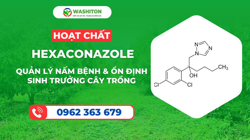 HOẠT CHẤT HEXACONAZOLE - QUẢN LÝ NẤM BỆNH & ỔN ĐỊNH SINH TRƯỞNG CÂY TRỒNG