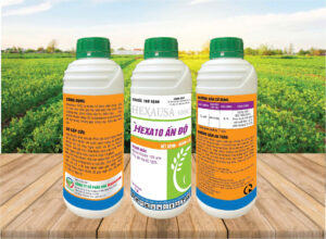 Sản phẩm Hexa10 Ấn Độ