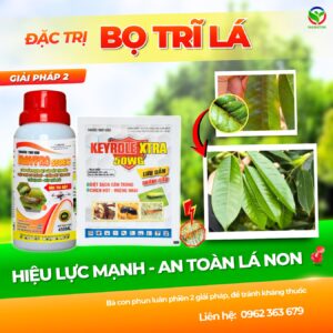 RAYPRO 550EC + KEYROLE XTRA 50WG – Đ𝐚̣̆𝐜 𝐭𝐫𝐢̣ 𝐛𝐨̣ 𝐭𝐫𝐢̃ 𝐥𝐚́