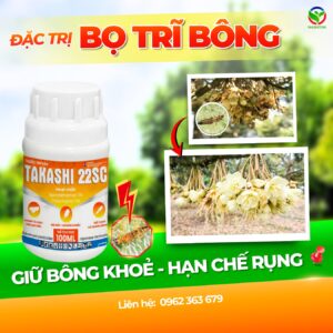 Takashi - Đặc Trị Bọ Trĩ Bông