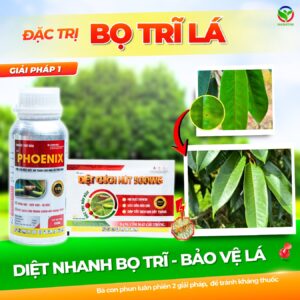Bộ sản phẩm Trị Bọ Trĩ Lá