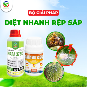 BỘ SẢN PHẨM DIÊT RỆP SÁP