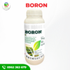 BORON