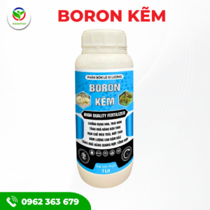 BORON KẼM