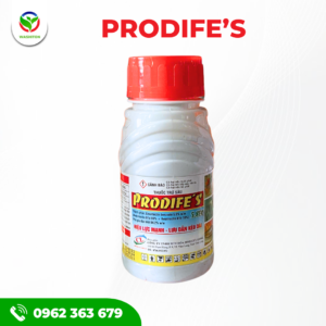 PRODIFE’S