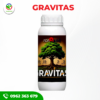 GRAVITAS