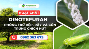 Hoạt chất Dinotefuran - phòng trừ rệp, rầy và côn trùng chích hút