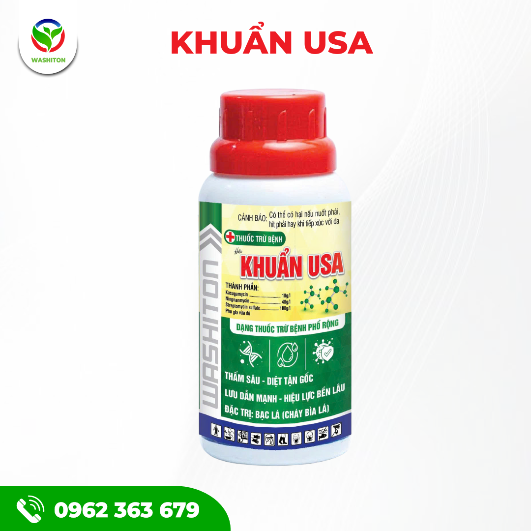 KHUẨN USA - XANH LÁ
