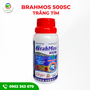 BRAHMOS 500SC