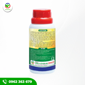 KHUẨN USA - XANH LÁ