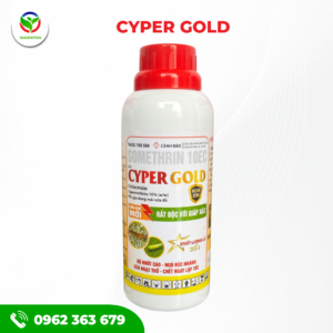 CYPER GOLD