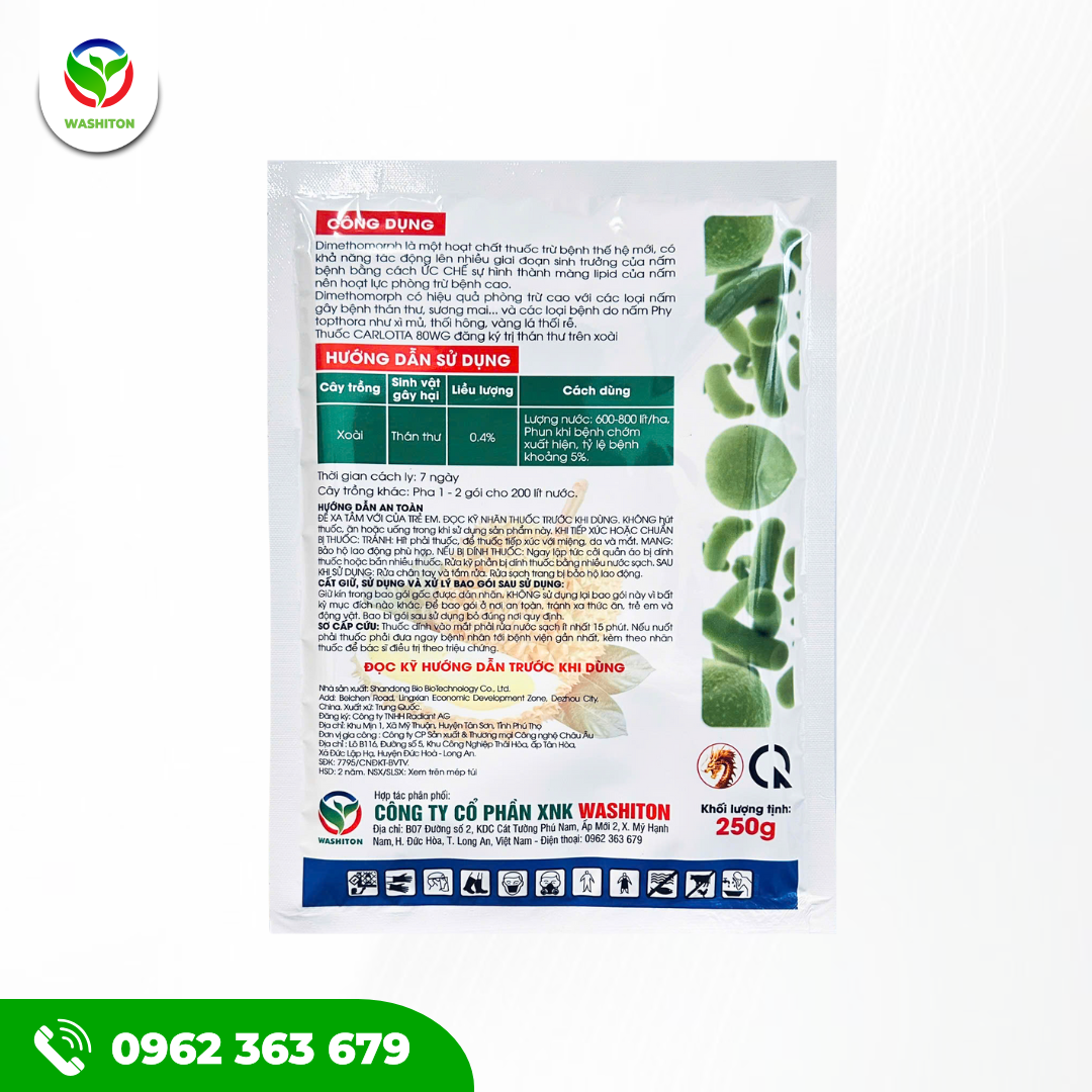 CARLOTTA 80WG - XANH LÁ