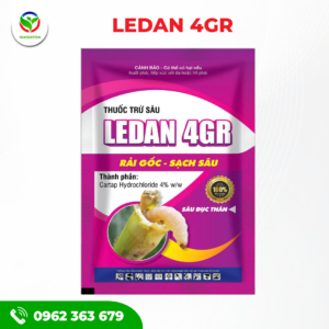Ledan 4GR - Tím