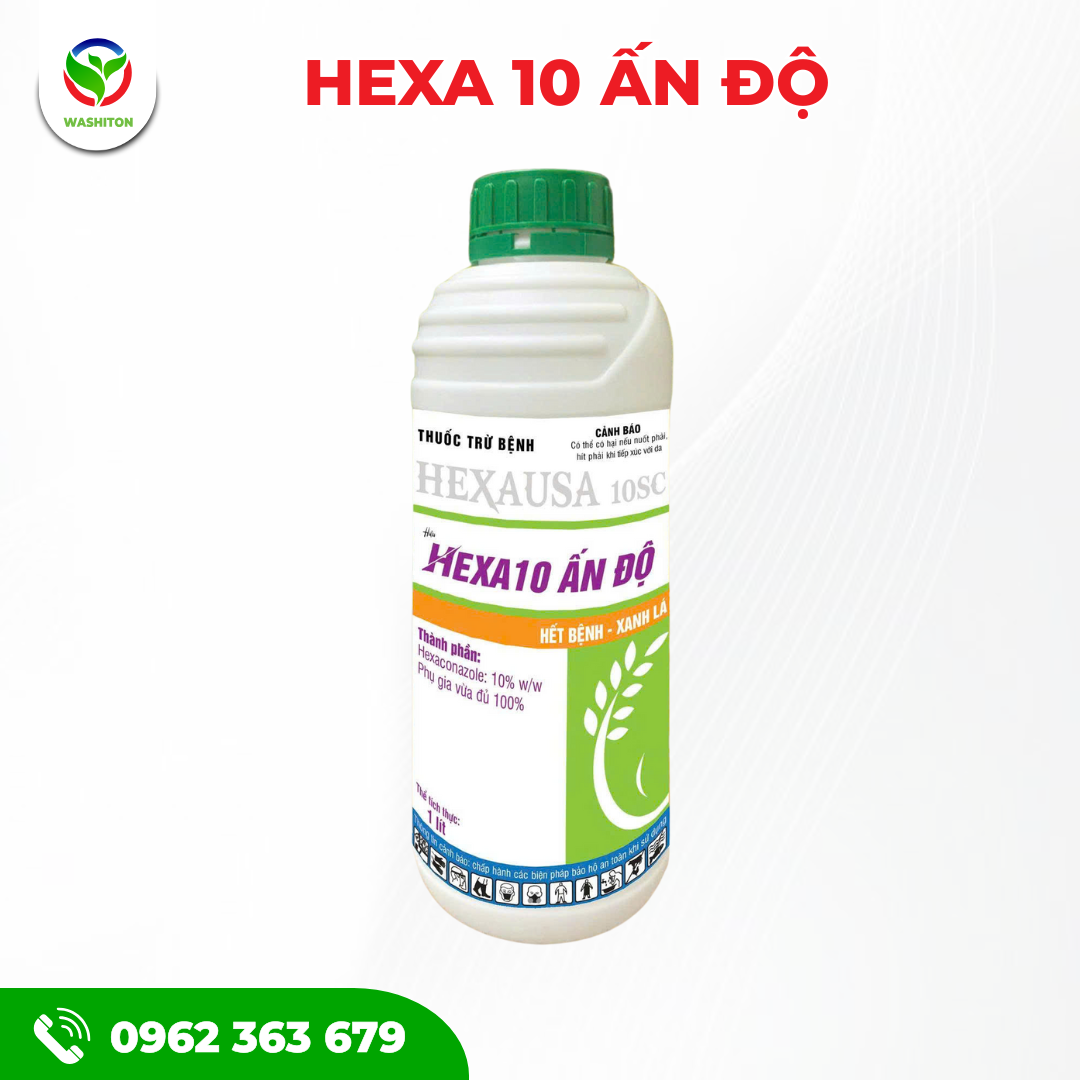 HEXA 10 ẤN ĐỘ