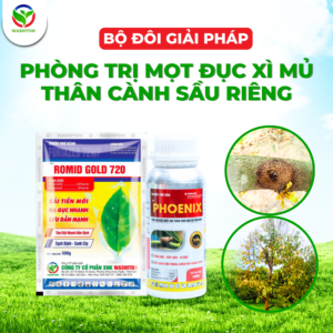 GIẢI PHÁP ĐẶC TRỊ MỌT ĐỤC - XÌ MỦ THÂN, CÀNH TRÊN SẦU RIÊNG