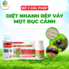 BỘ 3 GIẢI PHÁP DIỆT NHANH RỆP VẢY – MỌT ĐỤC CÀNH
