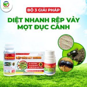 BỘ 3 GIẢI PHÁP DIỆT NHANH RỆP VẢY – MỌT ĐỤC CÀNH